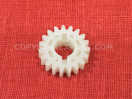 GEAR, 19T (DEVELOPING ASS'Y)