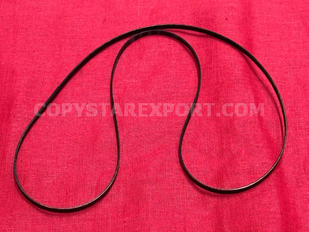 TIMING BELT