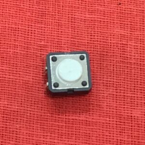 PANEL SWITCH BIG