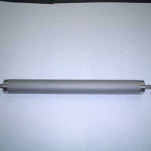 DEVELOPING MAGNET