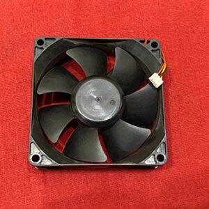 FAN